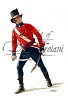 Officer