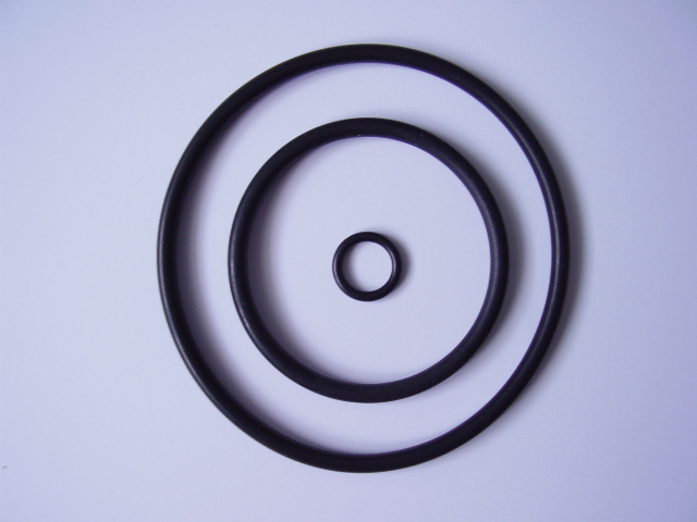 Calypso Nikkor O-ring